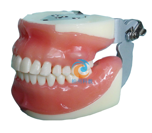 ����ģ��