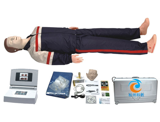 CPR380 �߼���X�ķΏ�(f��)�Kģ�M��(2010�棩