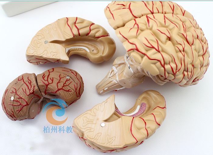 ���X���}�����Xģ��