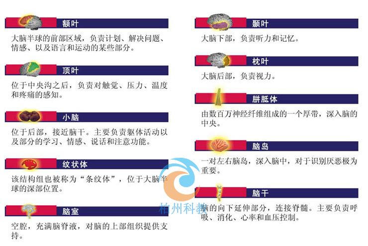 �X�Y(ji��)��(g��u)ģ��