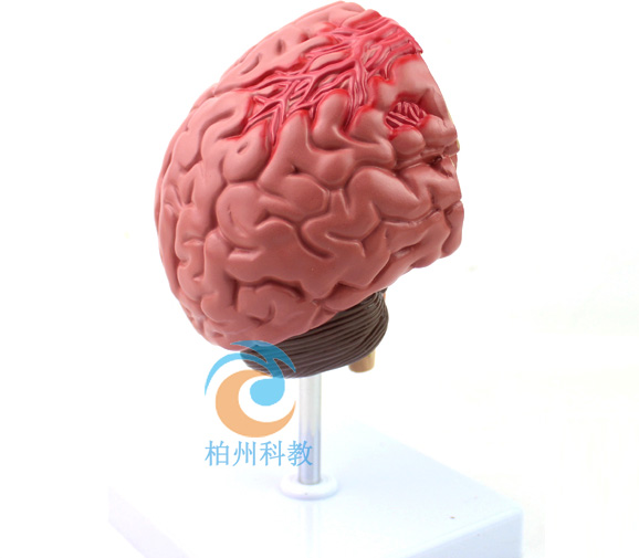 �X�����Y��ʾģ��