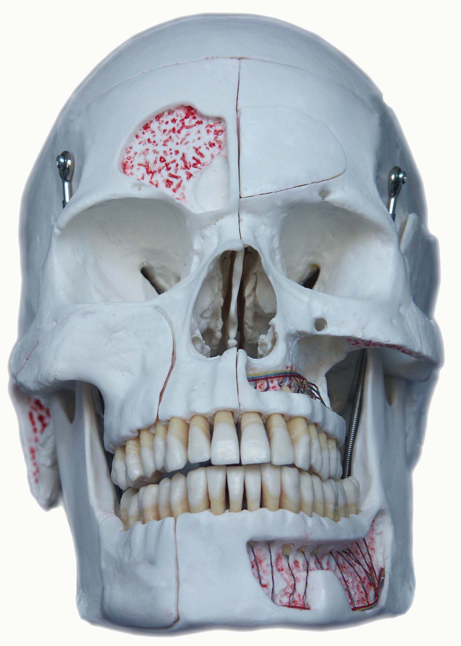 �����^�Bģ�ͣ�10���֣�