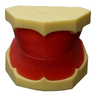 ȫ��Ϟ��ģ��