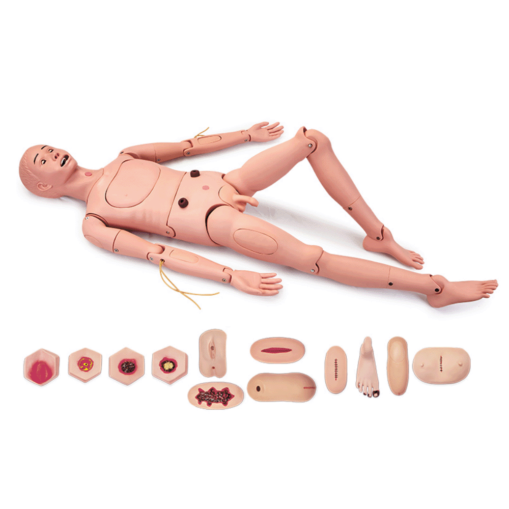 �߼�ȫ�����o(h��)��Ӗ(x��n)��ģ�M��