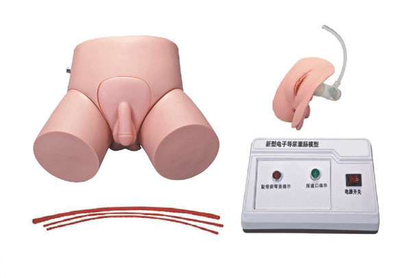 ��ӌ�(d��o)����c�̌W(xu��)��(sh��)��(x��)ģ��