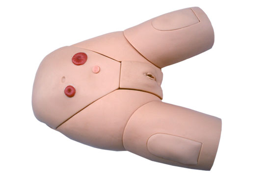 Ů�Ԍ���ʾ��ģ��