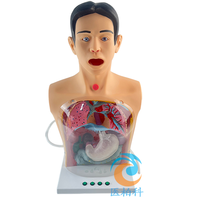 �߼�͸��ϴθģ��