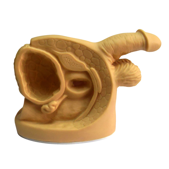 ���ԃ�(n��i)����ֳ������(d��o)��ģ��