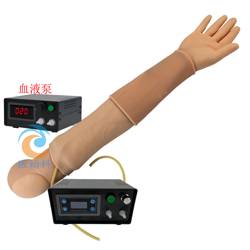 �߼�ѪҺ͸���ֱ�ģ��