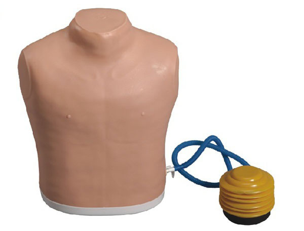 ����̎��ģ��