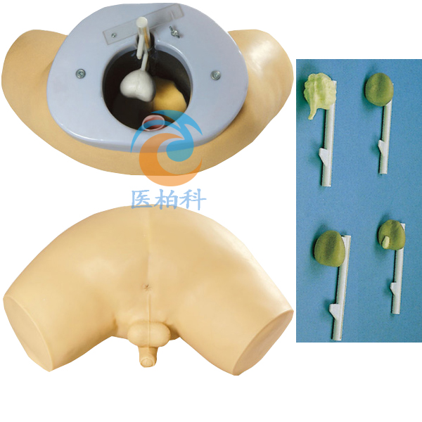 ǰ�����\��ģ��