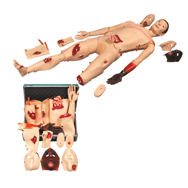 �߼���(chu��ng)��Ӗ��ģ��