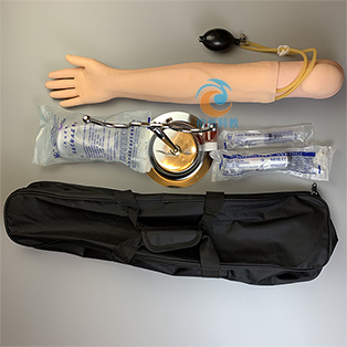 高級手臂動脈穿刺及肌肉注射訓(xùn)練模型