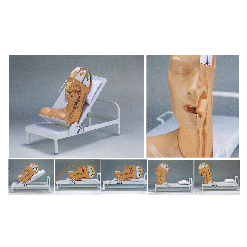 �߼����ʙC(j��)��ģ��