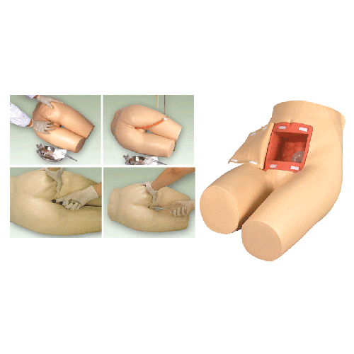 �߼����c���o���ű�Ӗ(x��n)��ģ��