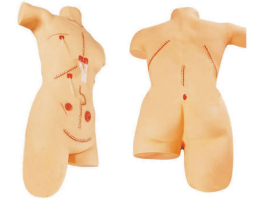 ��ƿp�ϰ���չʾģ��