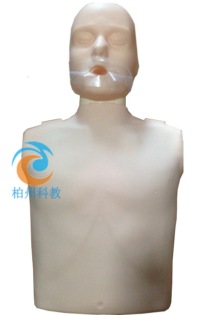 CPR100 ��(ji��n)���Ͱ����ķΏ�(f��)�Kģ�M��