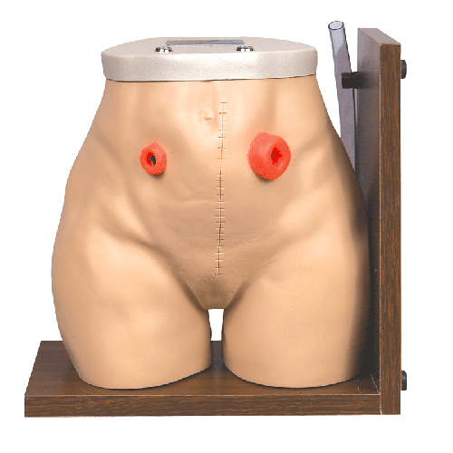 �߼�(j��)��������g(sh��)�o(h��)��ģ��