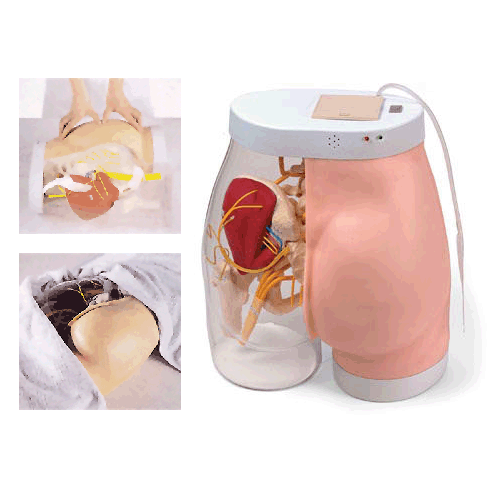 �߼��β�����ע��Ӗ(x��n)��������ģ��