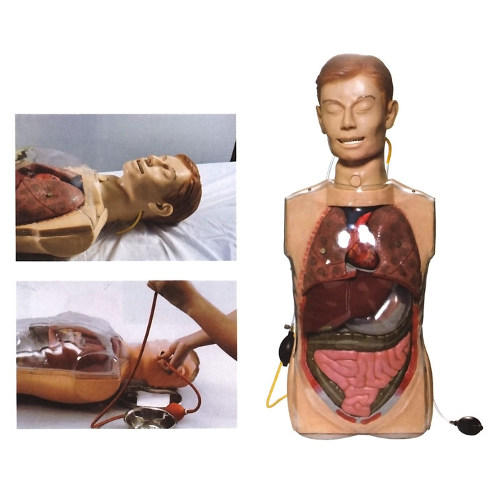 �๦��͸��ϴθӖ(x��n)��ģ��