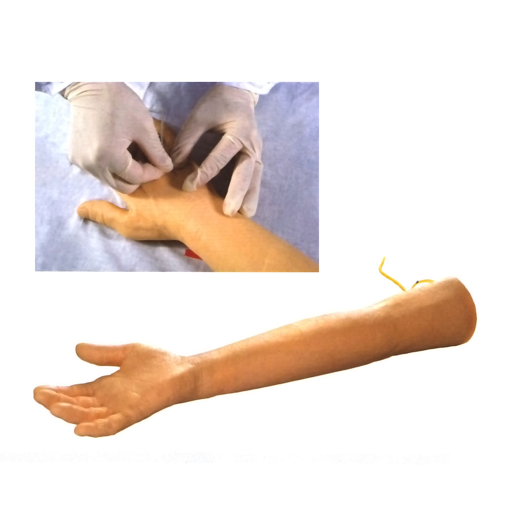 �߼��������o�}����Ӗ(x��n)���ֱ�ģ��