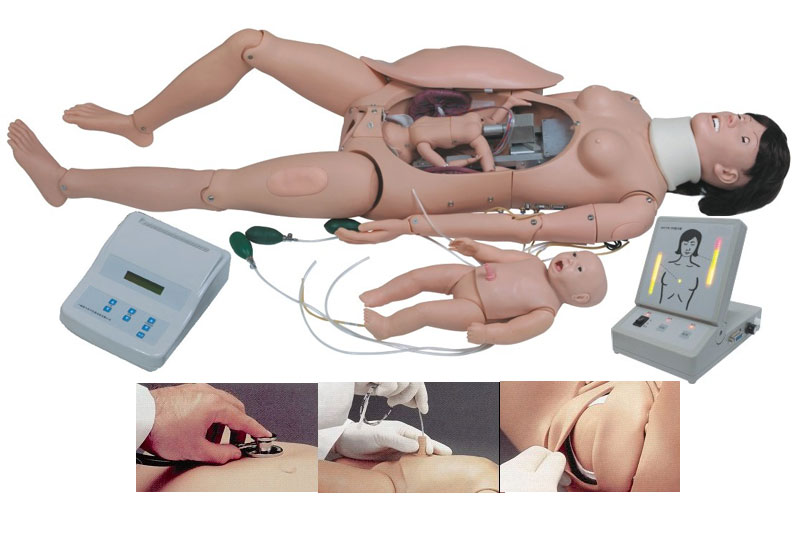 �߼�(j��)�����cĸ�Ӽ���ģ��