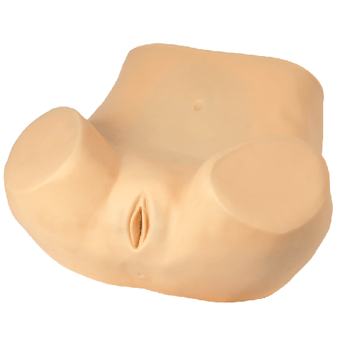 �߼��D��Ӗ(x��n)��ģ��