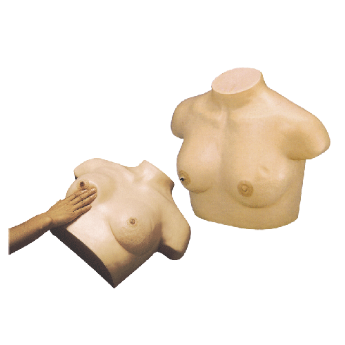 �߼�����ҕ�\�c�|�\ģ��