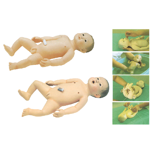 �߼��냺�o��ģ��