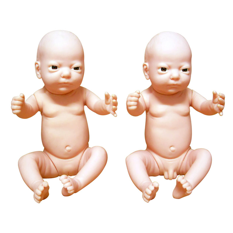 �߼�(j��)�����냺ģ��