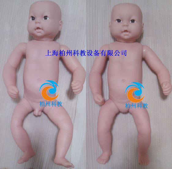 �߼��M�냺ģ��