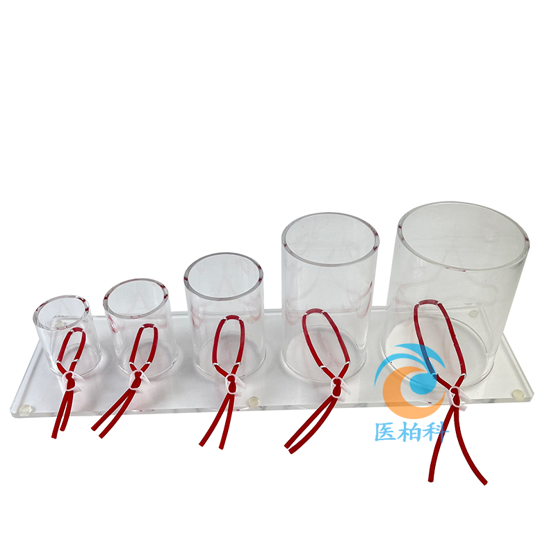 �������Y(ji��)����Ӗ��ģ��