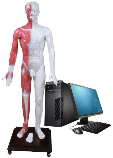 ��ý�w���wᘾ�Ѩλ�l(f��)��ģ��