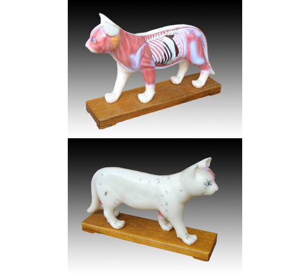 ؈�wᘾ�ģ��