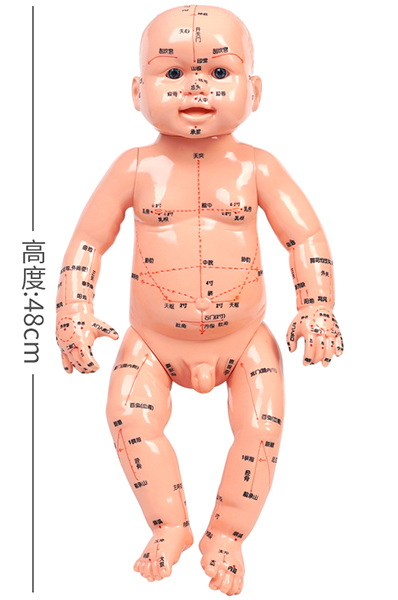 С������Ѩλģ��