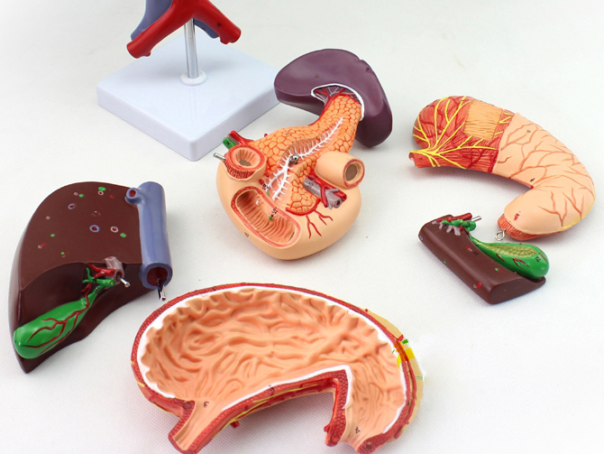 ����đ������Ƣ��θ��ʮ��ָ�cģ��