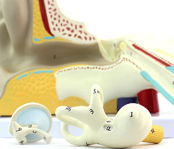 ��������Y(ji��)��(g��u)ģ�ͣ�3����