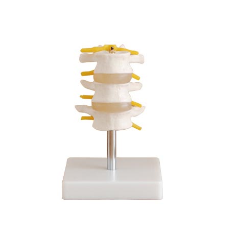 ������׵ģ�ͣ�����(ji��)��