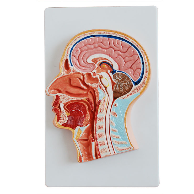 �^������ʸ������ģ��