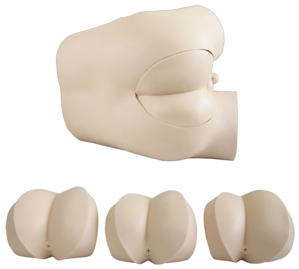 �߼�(j��)ֱ�cָ�\�z��ģ��