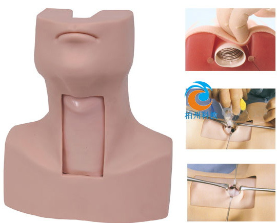 �߼�(j��)������_(k��i)���Ӗ(x��n)��ģ��