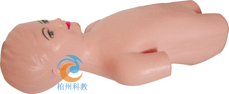 ��ͯ��ǻ����Ӗ��ģ��