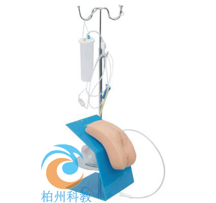 �߼����bʽŮ�Ԍ���ģ��