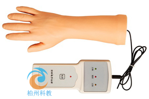 �߼�(j��)����ֲ��o�}����Ӗ(x��n)��ģ��