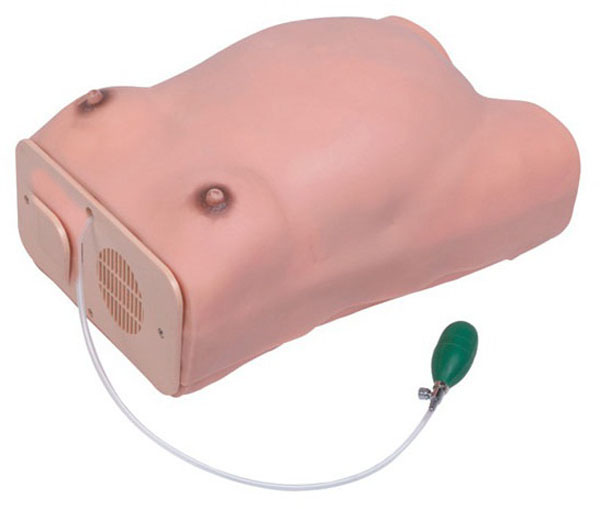 �߼�(j��)�ЋD�z��ģ��