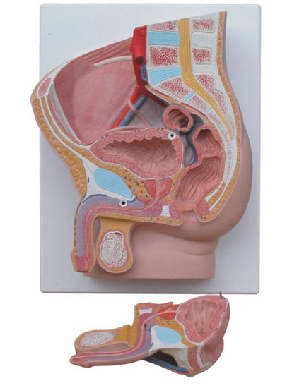 ����ʸ�����ģ��