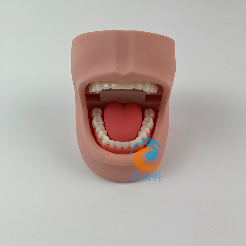 ���o(h��)�펧Ę�aģ��