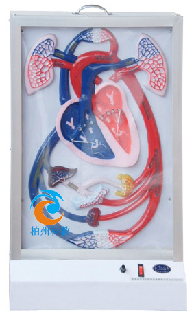 �ք�Һ��ʽѪҺѭ�h(hu��n)늄�ģ��