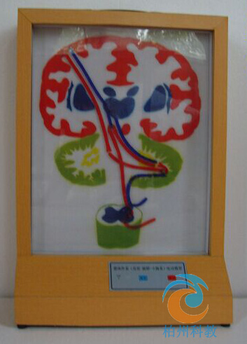 �F�w��ϵ��Ƥ�|(zh��)-�X��-С�Xϵ��늄�ģ��