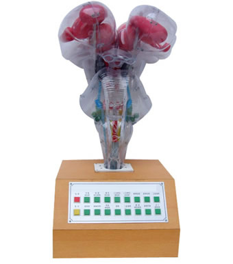 늄��X��ģ��(I��)